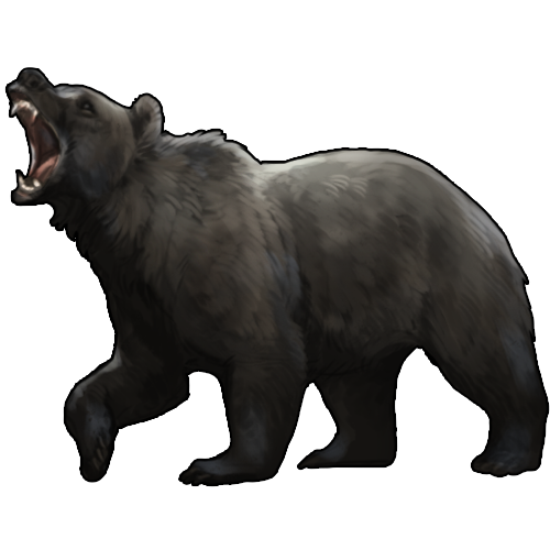 <a href="https://www.nemeionarpg.com/world/items?name=Bear - Black" class="display-item">Bear - Black</a>