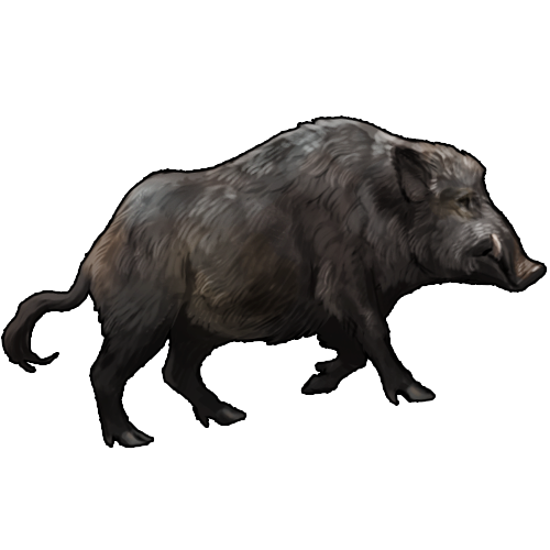<a href="https://www.nemeionarpg.com/world/items?name=Boar - Black" class="display-item">Boar - Black</a>