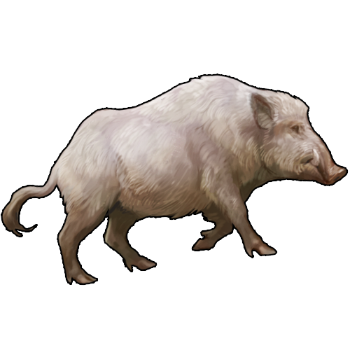 <a href="https://www.nemeionarpg.com/world/items?name=Boar - Albino" class="display-item">Boar - Albino</a>