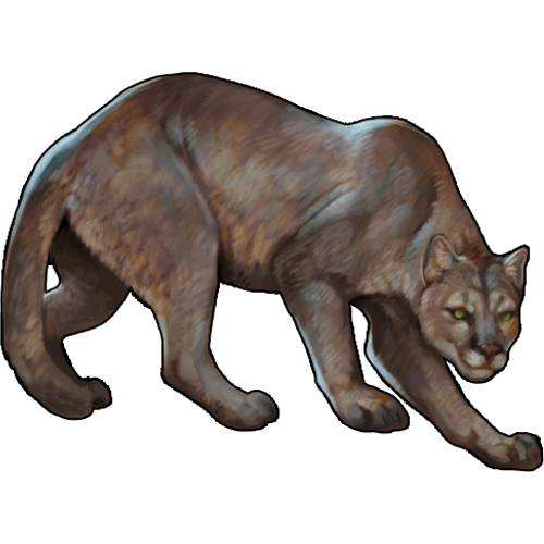 <a href="https://www.nemeionarpg.com/world/items?name=Cougar - Tan" class="display-item">Cougar - Tan</a>