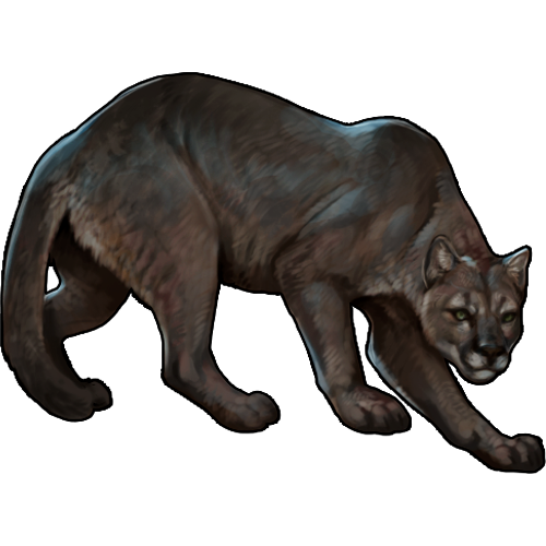 <a href="https://www.nemeionarpg.com/world/items?name=Cougar - Brown" class="display-item">Cougar - Brown</a>