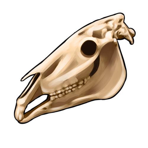 <a href="https://www.nemeionarpg.com/world/items?name=Horse Skull" class="display-item">Horse Skull</a>