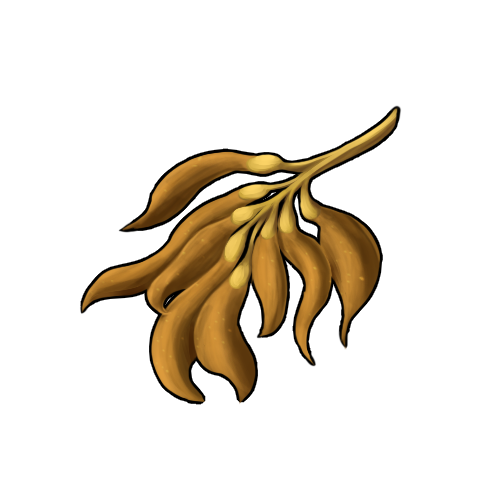 <a href="https://www.nemeionarpg.com/world/items?name=Kelp" class="display-item">Kelp</a>