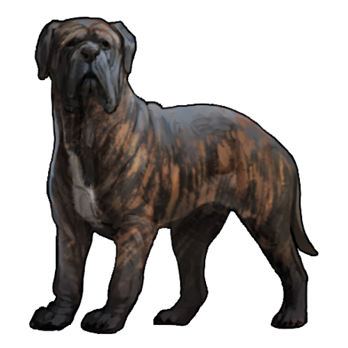 <a href="https://www.nemeionarpg.com/world/items?name=Mastiff - Brindle" class="display-item">Mastiff - Brindle</a>