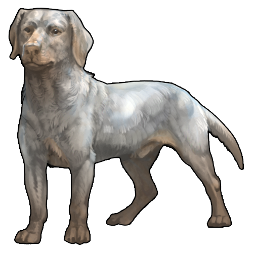 <a href="https://www.nemeionarpg.com/world/items?name=Hound - Albino" class="display-item">Hound - Albino</a>