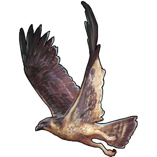 <a href="https://www.nemeionarpg.com/world/items?name=Falcon - Red" class="display-item">Falcon - Red</a>