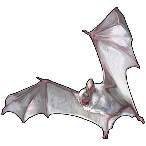 <a href="https://www.nemeionarpg.com/world/items?name=Cave Bat - White" class="display-item">Cave Bat - White</a>