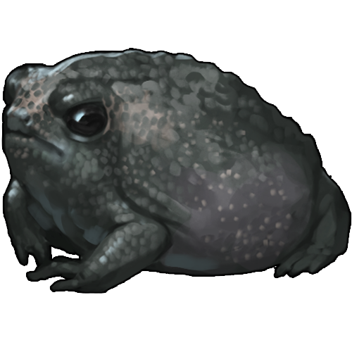 <a href="https://www.nemeionarpg.com/world/items?name=Rainfrog - Black" class="display-item">Rainfrog - Black</a>