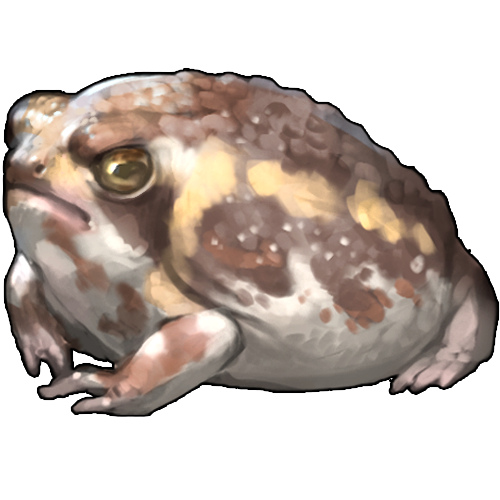 <a href="https://www.nemeionarpg.com/world/items?name=Rainfrog - Desert" class="display-item">Rainfrog - Desert</a>