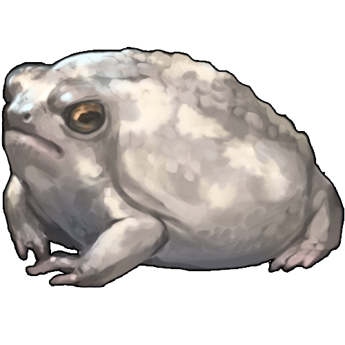 <a href="https://www.nemeionarpg.com/world/items?name=Rainfrog - Pale" class="display-item">Rainfrog - Pale</a>