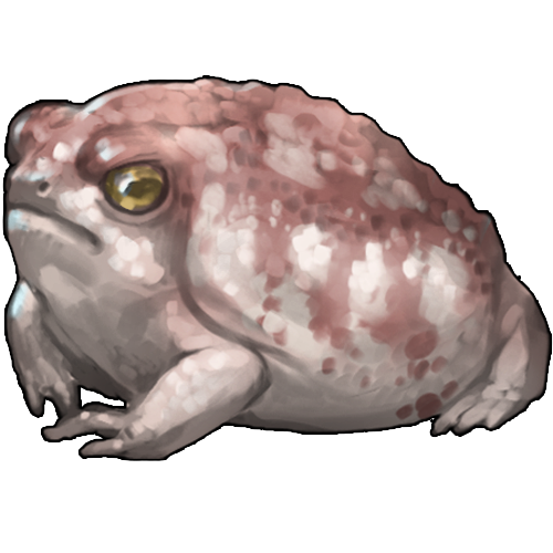 <a href="https://www.nemeionarpg.com/world/items?name=Rainfrog - Rose" class="display-item">Rainfrog - Rose</a>