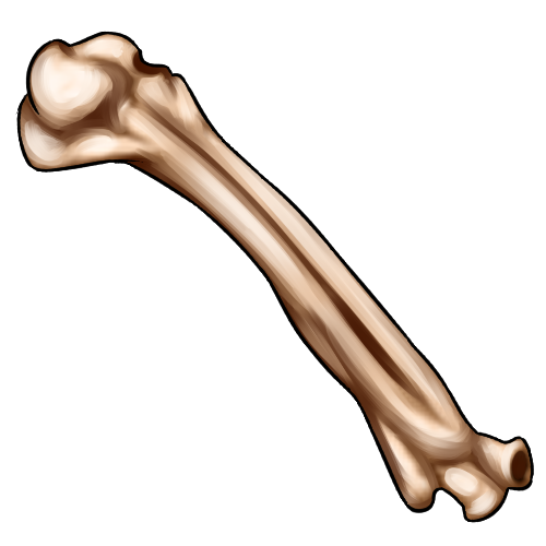 <a href="https://www.nemeionarpg.com/world/items?name=Bone" class="display-item">Bone</a>