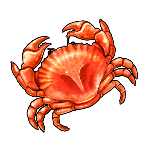 <a href="https://www.nemeionarpg.com/world/items?name=Crab" class="display-item">Crab</a>