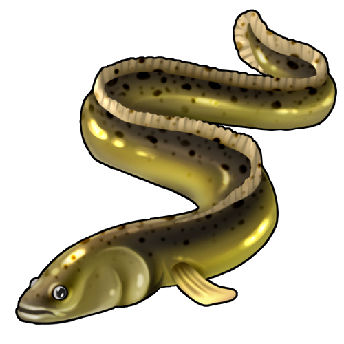 <a href="https://www.nemeionarpg.com/world/items?name=Eel" class="display-item">Eel</a>