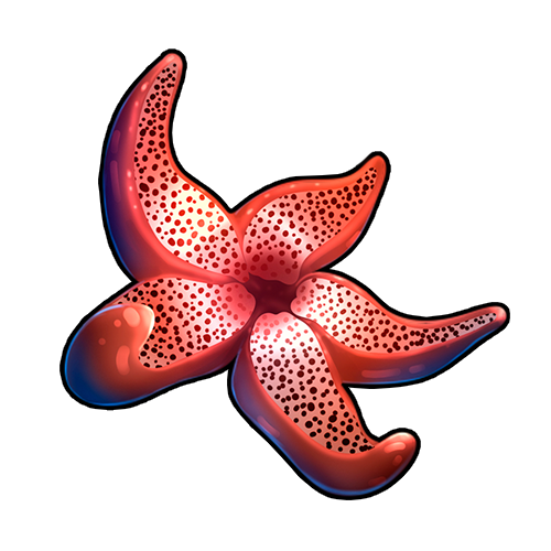 <a href="https://www.nemeionarpg.com/world/items?name=Starfish" class="display-item">Starfish</a>